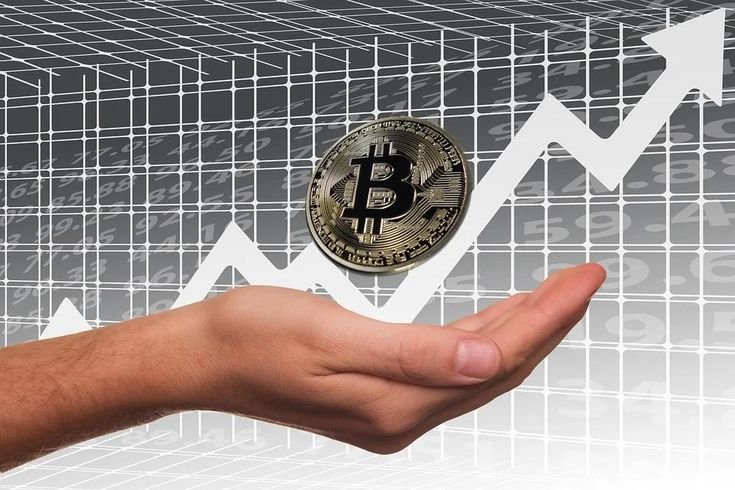Crypto Exchange vs Wallet